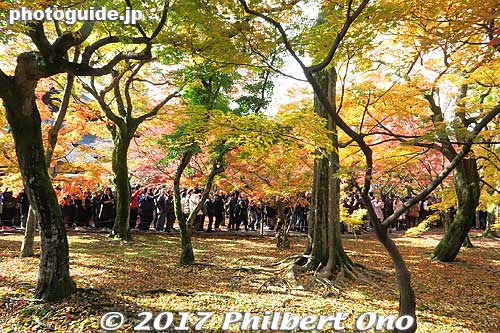 Long line of people entering the temple. They were in for a treat and it was worth the trip. Happy autumn 2017!
Keywords: kyoto higashiyama-ku tofukuji temple zen fall autumn foliage leaves maples