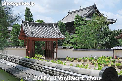 The big Sanmon Gate in the background.
Keywords: kyoto uji manpukuji mampukuji zen chinese buddhist temple