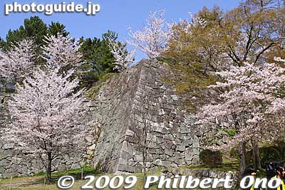 Iga-Ueno Castle was first built by Takigawa Katsutoshi, a vassal of Kitabatake Nobuaki (Oda Nobuo, Nobunaga's second son). In 1585, Tsutsui Sadatsugu took over.
 initiated construction of Iga Ueno Castle in 1585. He was followed by Tsutsui Sadatsugu
Keywords: mie iga-ueno castle cherry blossoms sakura 