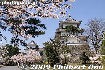 Iga-Ueno Castle and cherry blossoms, Mie Prefecture.
Keywords: mie iga-ueno castle cherry blossoms sakura 