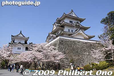 Iga-Ueno Castle and cherry blossoms, Mie Prefecture. During the Meiji Restoration, Ueno Castle's structures were dismantled as with many other castles.
Keywords: mie iga-ueno castle cherry blossoms sakura japancastle