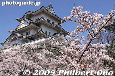 Iga-Ueno Castle's donjon or tenshu tower was reconstructed in 1935 by Kawasaki Katsu, a local politician, using his own funds.
Keywords: mie iga-ueno castle cherry blossoms sakura 