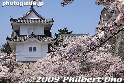 In 1980, Ueno Castle served as a backdrop for Kurosawa Akira's movie, Kagemusha.
Keywords: mie iga-ueno castle cherry blossoms sakura 