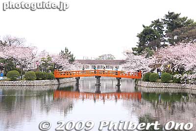 Noted for cherry blossoms, Kyuka Park is on the site of Kuwana Castle which was occupied by Honda Tadakatsu. 
Keywords: mie kuwana kyuka park cherry blossoms castle sakura moat