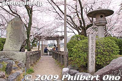 Way to Honmaru, the central part of the castle.
Keywords: mie kuwana kyuka park cherry blossoms castle sakura moat