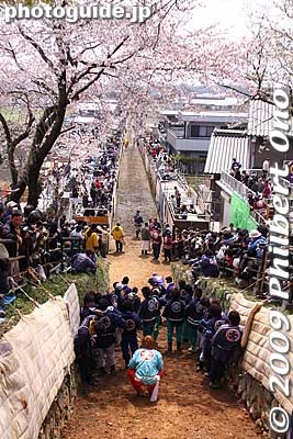 The end of the slope where the horse is to leap over the steep earthen wall. Cherry trees accent the steep incline. The horse gallops and full speed for about 500 meters before encountering this steep incline.
Keywords: mie toin-cho oyashiro matsuri festival ageuma horse inabe shrine cherry blossoms sakura