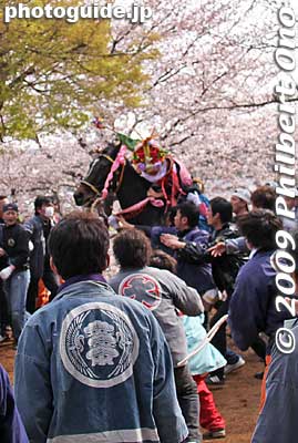 And there he is.
Keywords: mie toin-cho oyashiro matsuri festival ageuma horse inabe shrine 