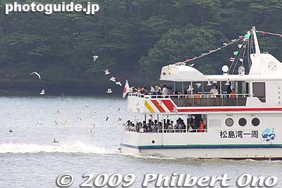 As each boat leaves, sea gulls follow.
Keywords: miyagi matsushima-machi nihon sankei scenic trio pine trees islands boat cruise birds sea gulls