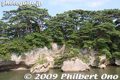 Fukuura island
Keywords: miyagi matsushima-machi nihon sankei scenic trio pine trees islands