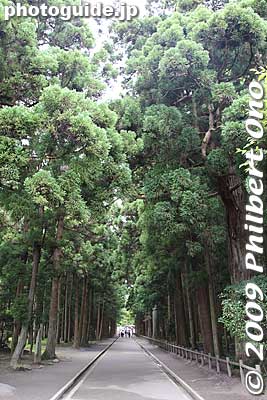 Wooded path to Zuiganji.
Keywords: miyagi matsushima-machi nihon sankei scenic trio buddhist temple zen 