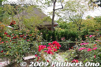 Rose Garden and Daihitei.
Keywords: miyagi matsushima-machi nihon sankei scenic trio buddhist temple 