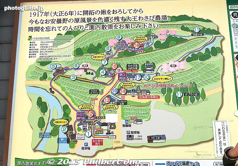 Map of Daio Wasabi Farm. It is quite expansive.
Address: 〒399-8303長野県安曇野市穂高3640
3640 Hotaka, Azumino, Nagano
Keywords: nagano azumino wasabi farm