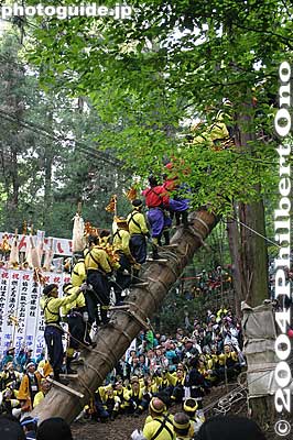 "Yoisa! Yoisa!"
Keywords: nagano shimosuwa-machi onbashira-sai matsuri festival satobiki