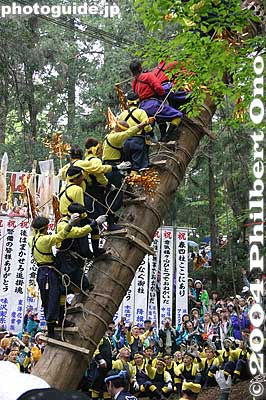 Also see my [url=http://www.youtube.com/watch?v=rsgUwTSupXA]video at YouTube.[/url]
Keywords: nagano shimosuwa-machi onbashira-sai matsuri festival satobiki