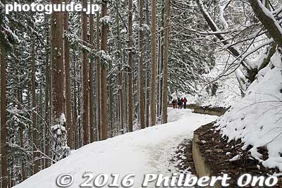 The trail is nice and flat, but can be snowy/icy and slippery. It's a nice and easy walk along the forest. In winter, you definitely need to be dressed warmly. The temperature was freezing when we visited in mid-Jan. 2016.
The nearest train station is Yudanaka Station, little over an hour by Nagano Electric Railway train from Nagano Station. From Yudanaka Station, it's about 15 min. by car/taxi to the park entrance. A day trip from Tokyo is possible, but I highly recommend staying overnight at a nearby onsen (hot spring).
Keywords: nagano yamanouchi-machi snow monkeys onsen hot spring jigokudani yaen park