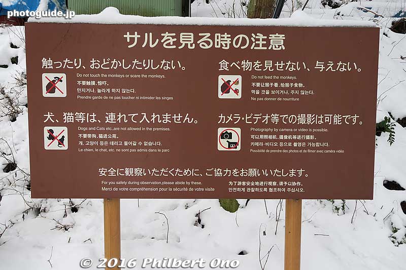 Park rules
Keywords: nagano yamanouchi-machi snow monkeys onsen hot spring jigokudani yaen park