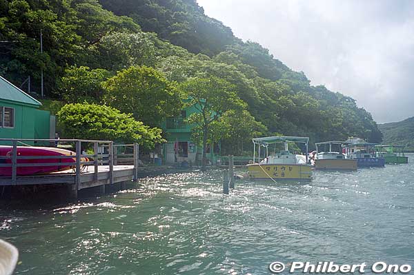 Boat dock at Urauchi River on Iriomote. If you come on your own, the jungle river cruise is ¥1,800 for adults. 西表島・浦内川
The boat cruise takes about 30 min. to a dock upstream where you get off for the waterfall hike. Boats depart here once or twice an hour from morning to early afternoon.
Keywords: okinawa Iriomote urauchi river cruise