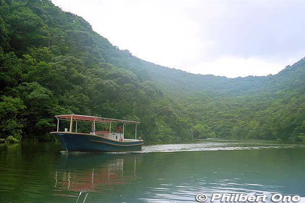 Another Urauchi River cruise boat. 西表島・浦内川 遊覧ボート
Keywords: okinawa Iriomote urauchi river cruise