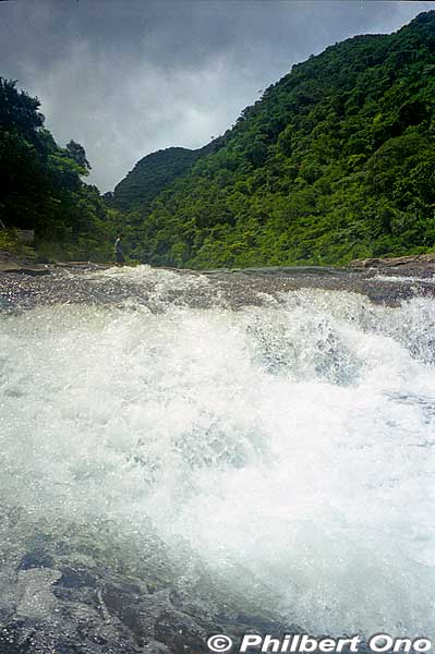 Mariyudu Falls. From here, the hiking trail continues to another waterfall, Kanbire (Kanpire) Falls about 250 meters away.
Keywords: okinawa Iriomote urauchi river waterfall hike