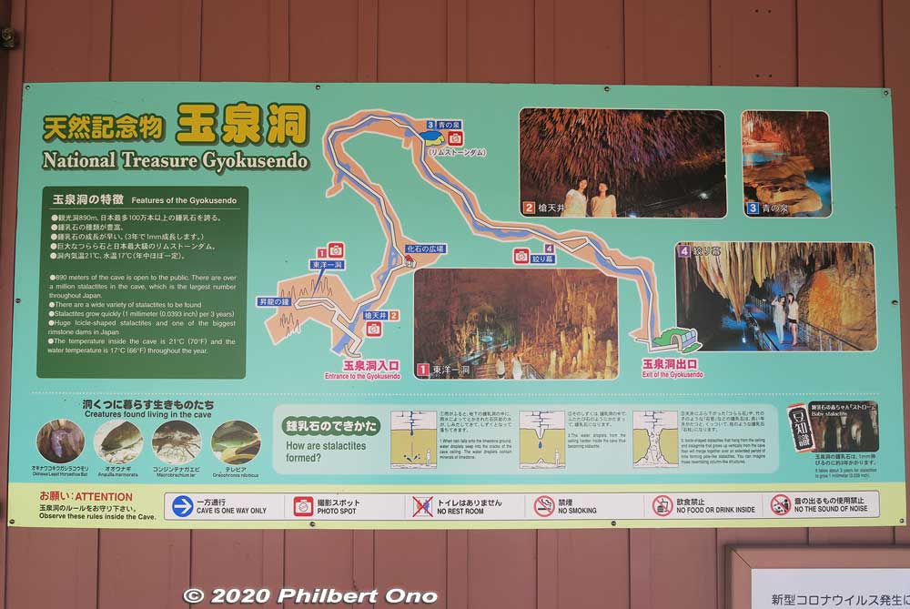 Map of Gyokusendo Cavern. Many natural features have names. After getting out of the cavern, you can go across the park toward the main gate and see the Kingdom Village.
Keywords: okinawa nanjo world