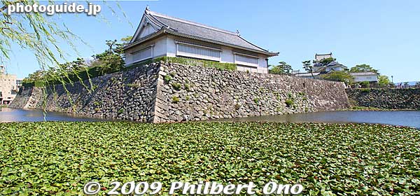 Kishiwada Castle moat
Keywords: osaka Kishiwada Castle japancastle
