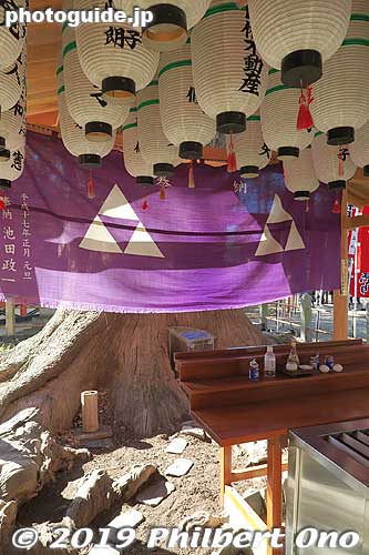 Small shrine for a great tree.
Keywords: osaka Sumiyoshi Taisha jinja shrine new year
