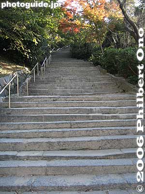 Steps to castle tower
If you don't want to climb the 231 steps, you can pay to use the elevator.
Keywords: saga prefecture karatsu castle