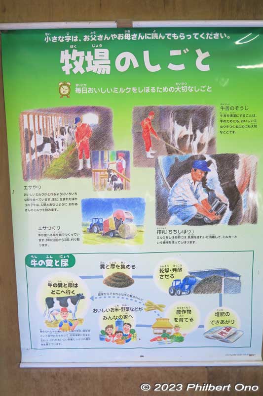 Explanation of the work done at a dairy farm. On weekends, you can pay a fee (¥2200) to try and milk a cow manually and feed some hay. Reservations required. at least two days in advance.
Keywords: Saitama Ageo Enomoto Dairy Farm