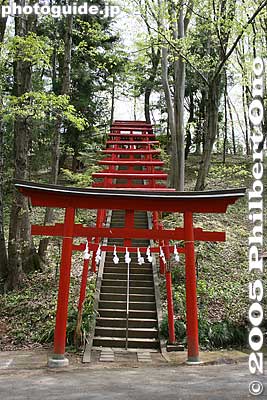 Torii
Keywords: saitama chichibu hitsujiyama park torii