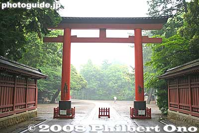 Hikawa Shrine torii. 20-min. walk from Omiya Station.
Keywords: saitama omiya hikawa shrine shinto trees torii