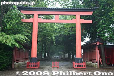 Keywords: saitama omiya hikawa shrine shinto trees torii
