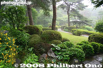 Keywords: saitama omiya japanese garden pine trees