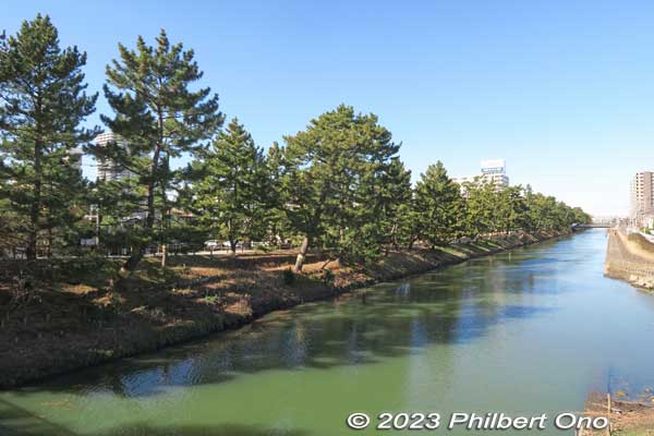 Soka Matsubara goes along the Ayase River.
Keywords: Saitama Soka-Matsubara pine trees Oku-no-Hosomichi