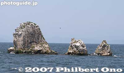 Okino-shiraishi Rocks, a favorite resting place for birds which turned the rocks white from bird droppings. Four rocks stand 80 meters deep in the lake. Out of the water, the tallest stands 14 meters high. 沖の白石
Keywords: shiga takashima imazu-cho biwako shuko no uta lake biwa rowing song boat cruise biwakocruise