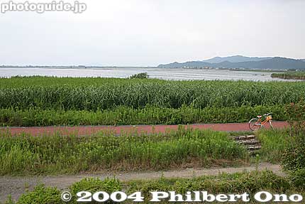 Cycling path in Azuchi near Lake Nishinoko.
Keywords: shiga prefecture azuchi azuchicho