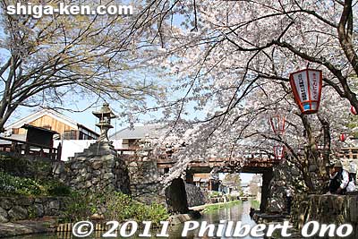 This bridge leads to Himure Hachimangu Shrine (to the left). This is the heart of Hachiman-bori moat.
Keywords: shiga omi-hachiman hachiman-bori moat canal cherry blossoms sakura flowers 