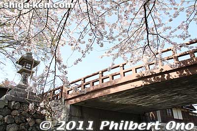 Hakuunbashi Bridge and stone lantern. 白雲橋
Keywords: shiga omi-hachiman hachiman-bori moat canal cherry blossoms sakura flowers 