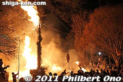 Keywords: shiga omi-hachiman hachiman matsuri festival fire torches 