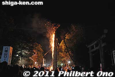 This is the second to the last torch to be burned. 
Keywords: shiga omi-hachiman hachiman matsuri festival fire torches 