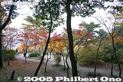 Kitanomaru　北の丸跡
Keywords: shiga prefecture omi-hachiman castle fall autumn colors