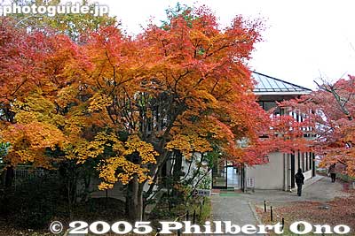 Gift shop
Keywords: shiga prefecture omi-hachiman castle fall autumn colors