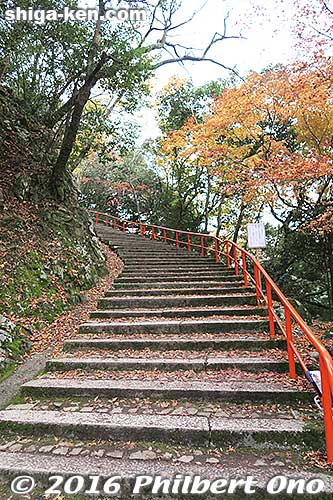 For the elderly, these many, but not impossible, steps might be difficult. Enjoy the fall colors in Nov.
Keywords: shiga higashiomi eigenji autumn zen rinzai temple leaves fall foliage
