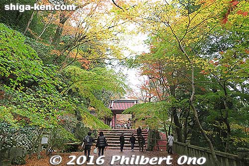 Came a little too early.
Keywords: shiga higashiomi eigenji autumn zen rinzai temple leaves fall foliage
