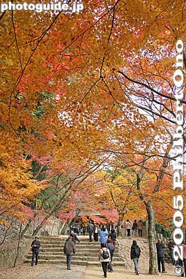 Keywords: shiga higashiomi eigenji autumn zen rinzai temple leaves fall foliage maple