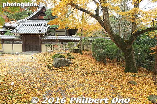 Keywords: shiga higashiomi eigenji autumn zen rinzai temple gingko