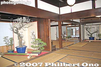 Bonsai plum and pine trees
Keywords: shiga higashiomi gokasho omi shonin merchant homes houses Tonomura Uhee Uhe'e