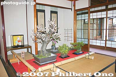 Bonsai plum trees
Keywords: shiga higashiomi gokasho omi shonin merchant homes houses Tonomura Uhee Uhe'e