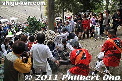 Two people behind the mikoshi hold ropes attached to the mikoshi.
Keywords: shiga higashiomi ibanosakakudashi matsuri festival mikoshi portable shrine 