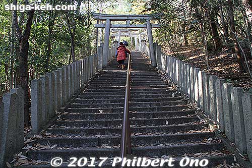 It's not so bad if you're in shape. Actually, I took these going-up pictures while going down the steps. (Went up by bus.)
Keywords: shiga higashiomi tarobogu aga shrine