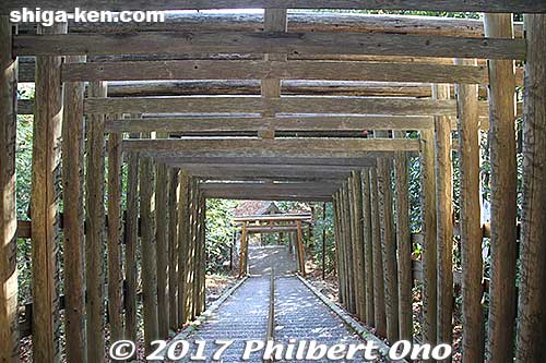 Lots of torii along the way.
Keywords: shiga higashiomi tarobogu aga shrine